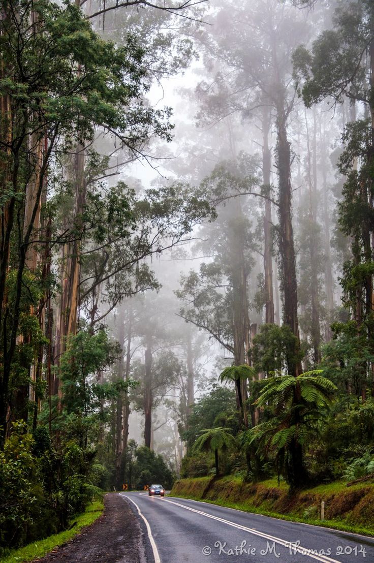 Dandenong-Ranges