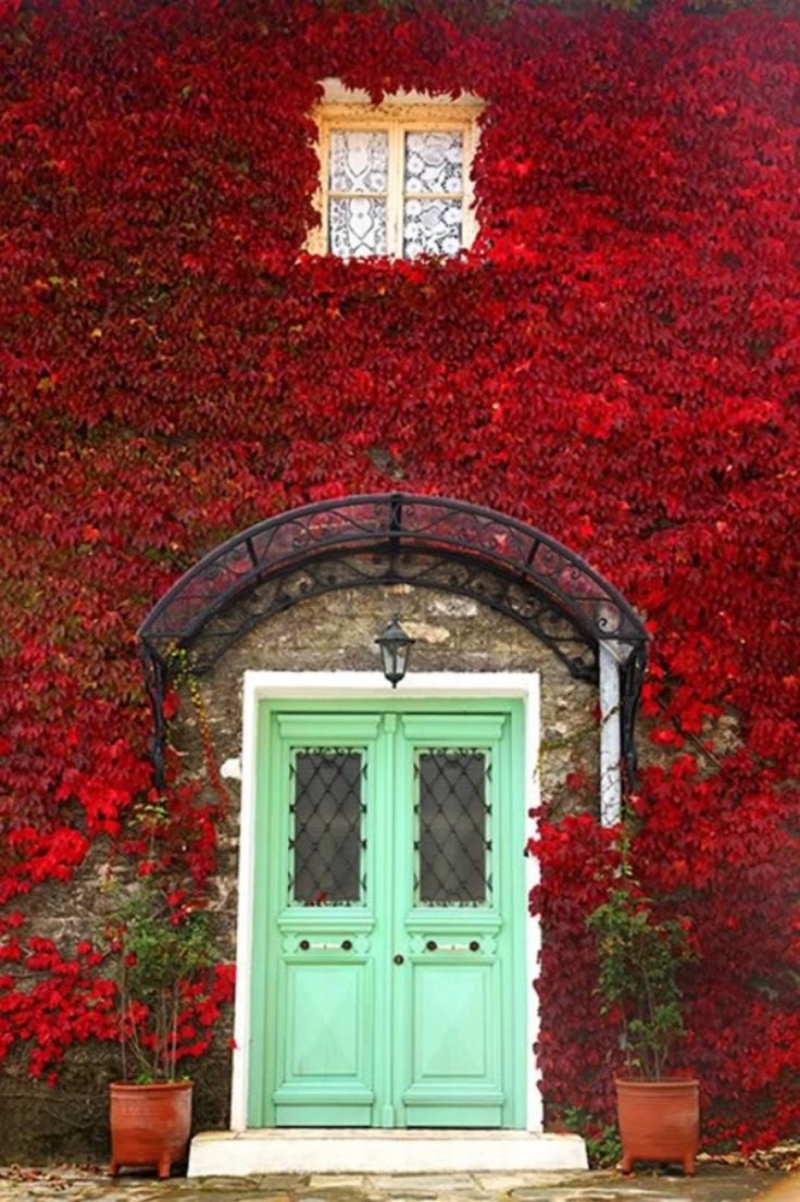 Door-foliage1