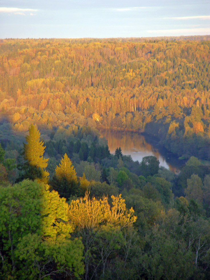 Gauja-valley-Latvia