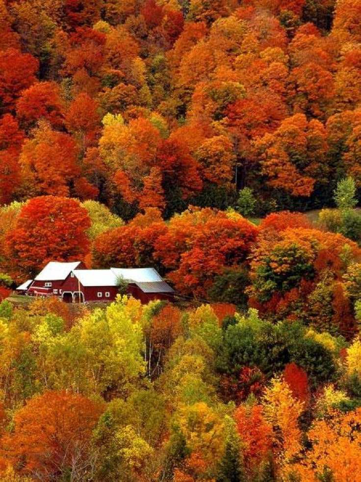 Vermont