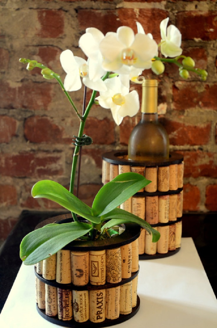corck-vase corck-vase
