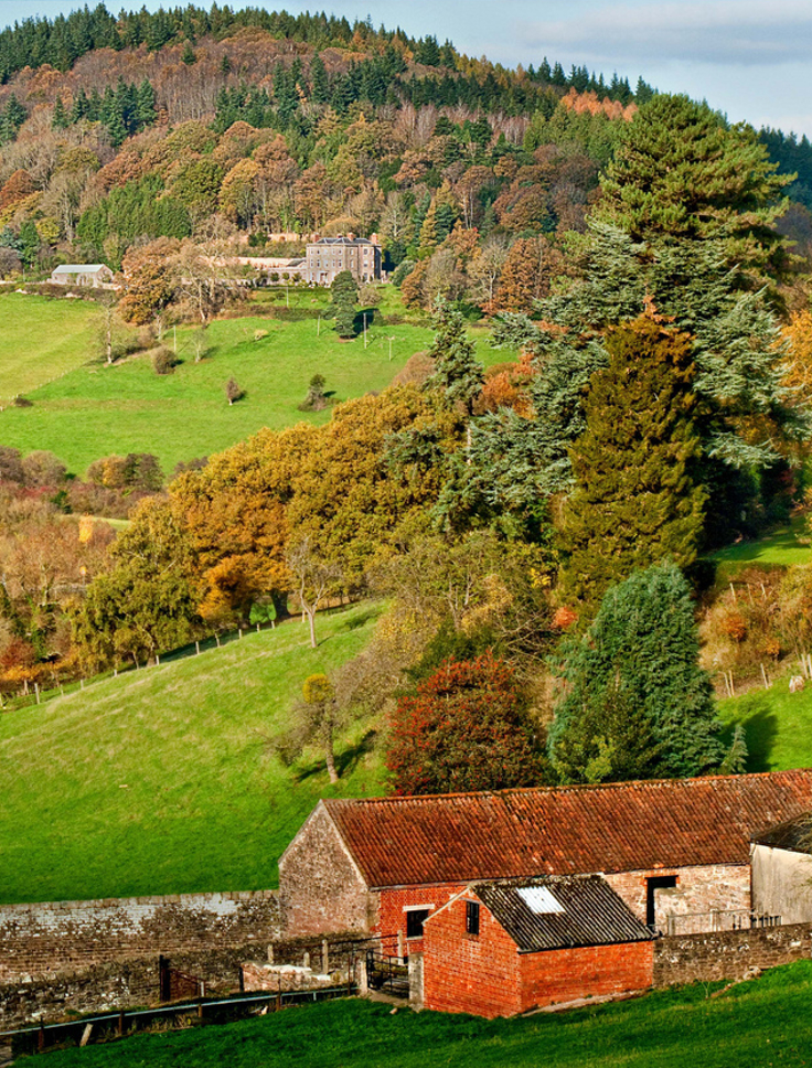 forest-of-dean-england