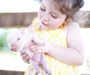 TOP 10 Heartwarming Photos Of Children With Their Pets