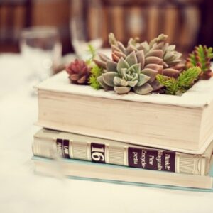Book-planter-300x300