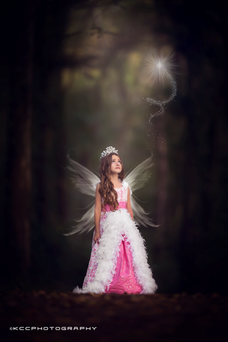 Fairy