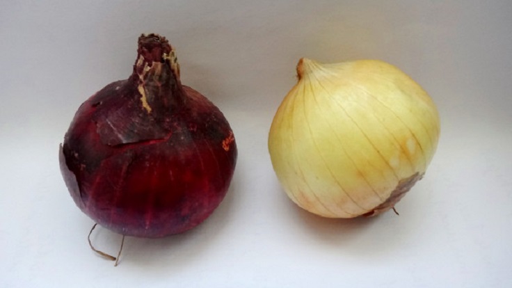 onion