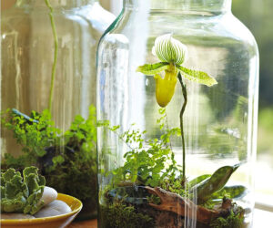 Top 10 DIY Indoor Garden Ideas