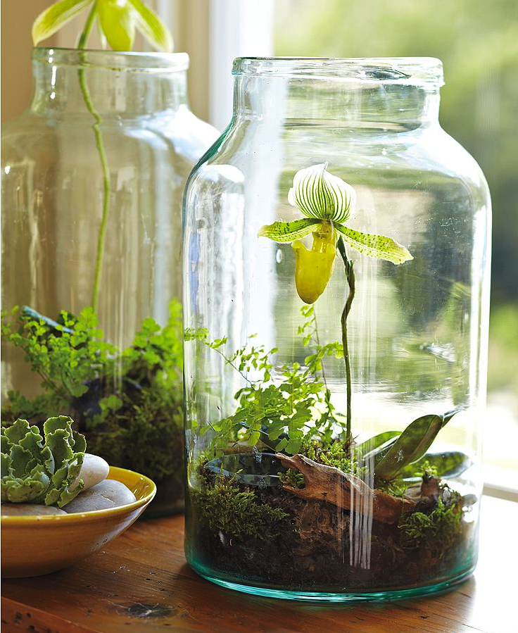 Top 10 DIY Indoor Garden Ideas | Top Inspired