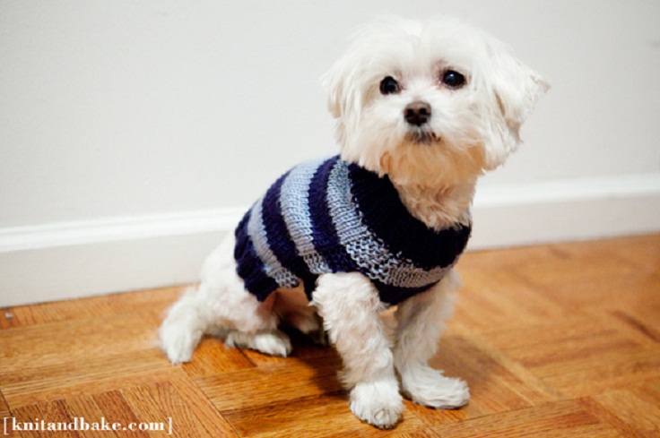 Top 10 Free Knitting Patterns For Cats And Dogs Top Inspired