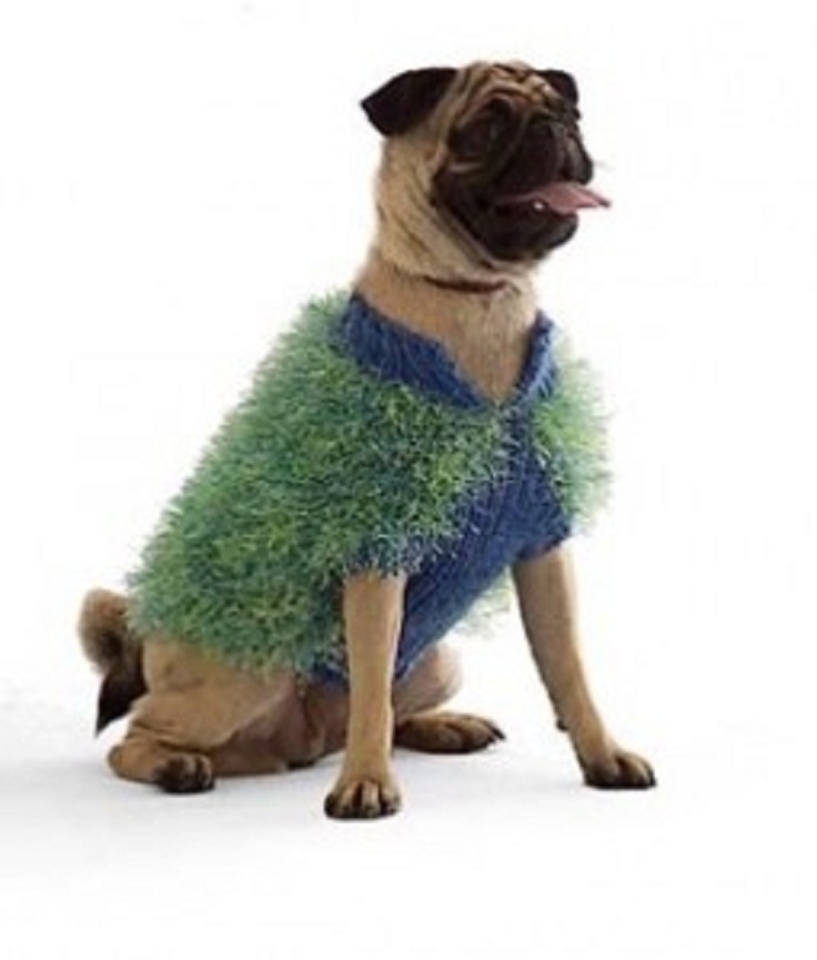 fluffy dog sweater