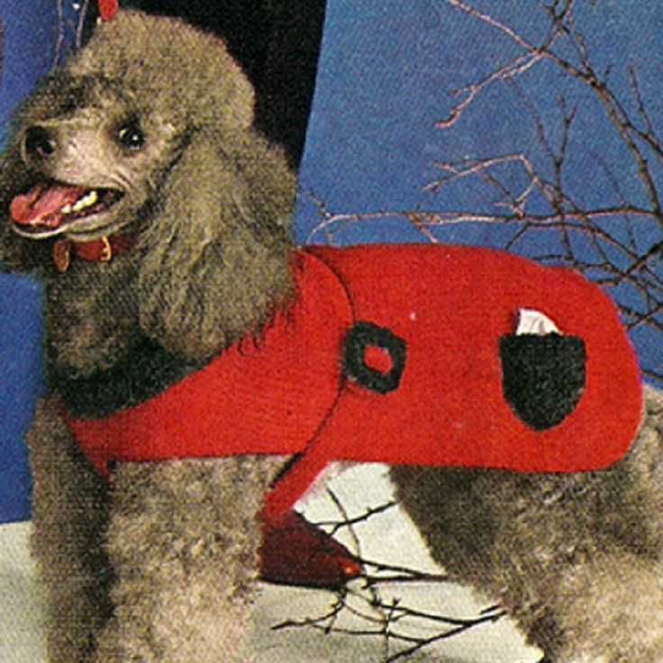 knit_dog_coat_pdf_pattern_with_bib_strap_pocket_