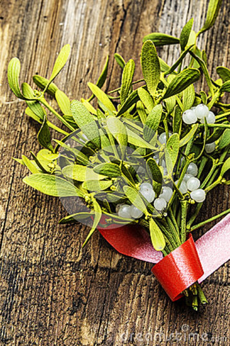 mistletoe-herb