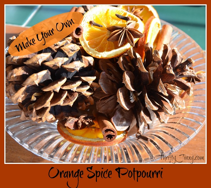 orange-pine-cone-potpourri