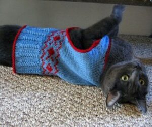Top 10 Free Knitting Patterns For Cats and Dogs