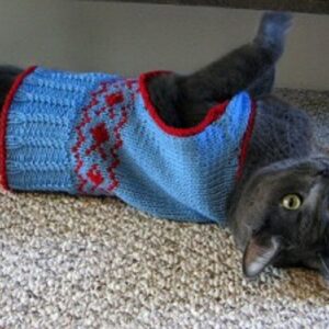 prep-school-cat-vest-300x300