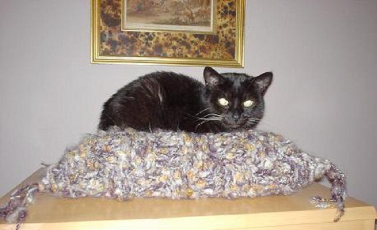 purr-fect-kitty-throne