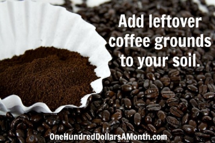 add-leftover-coffee-grounds-to-your-soil