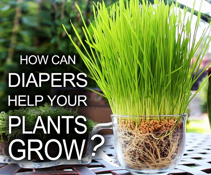 moisture-plants-with-diaper