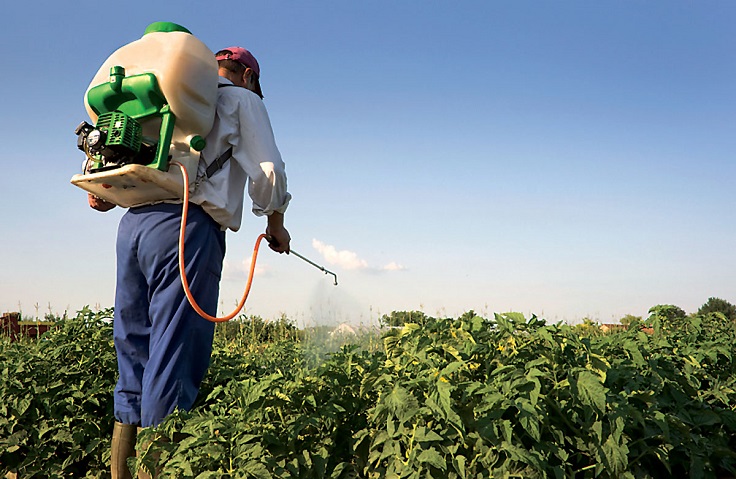 pesticides-coke