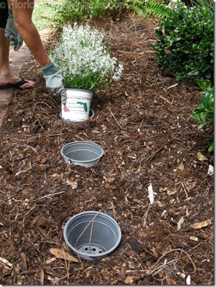 pot-in-pot-gardening