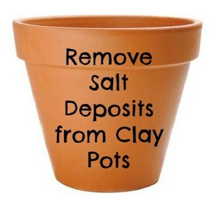 remove-salt-from-clay-pots