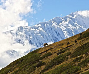 Top 10 Most Popular Himalayan Trekking Routes