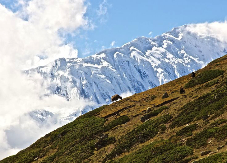 Top 10 Most Popular Himalayan Trekking Routes | Top Inspired