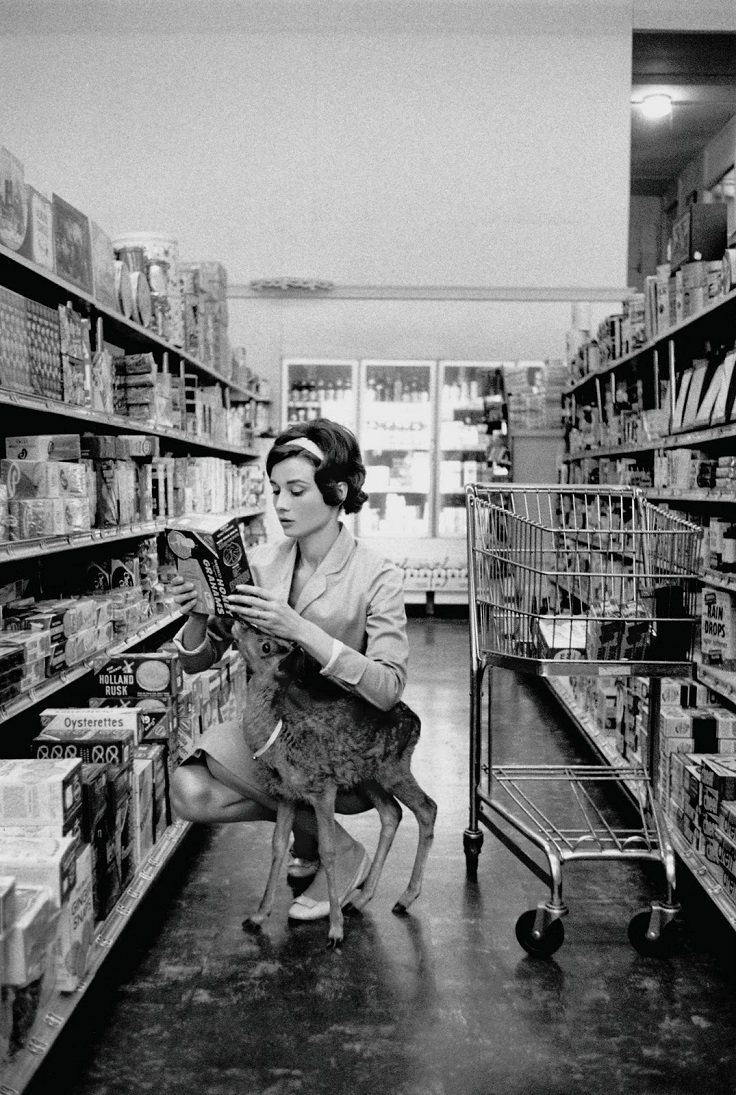 audrey-hepburn-pet