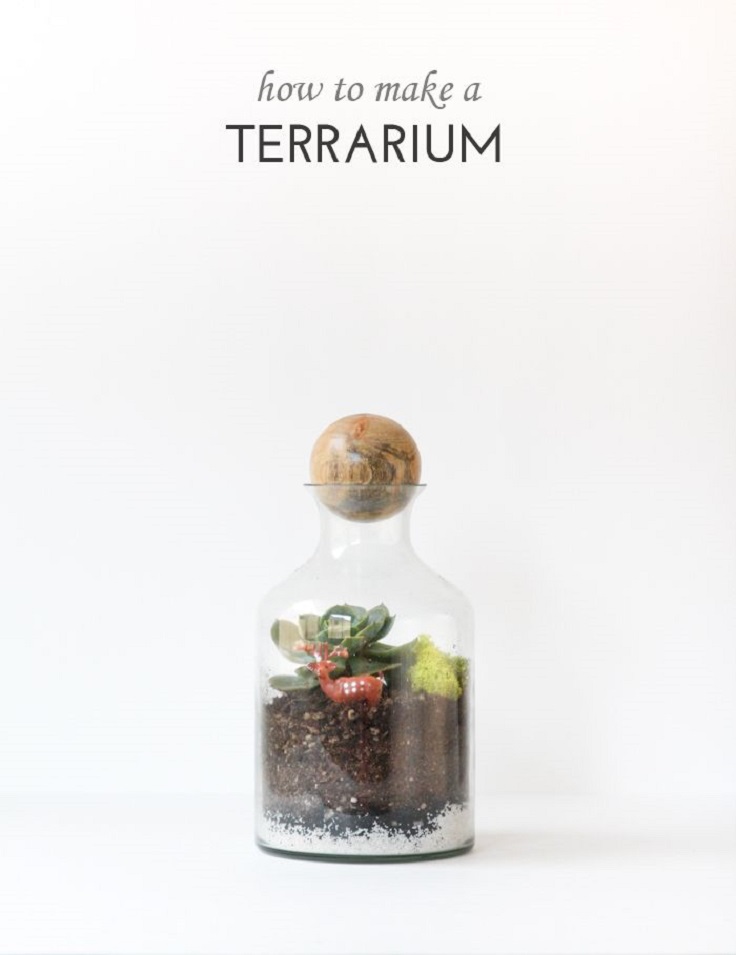 diy-terrarium