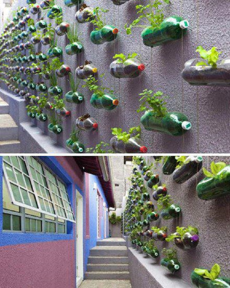 1-vertical-bottle-wall-garden