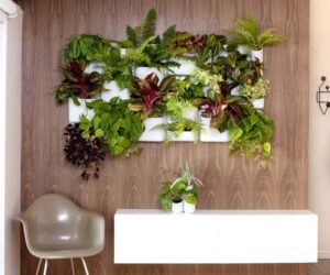 Top 10 Cool Vertical Gardening Ideas