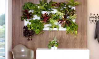 Top 10 Cool Vertical Gardening Ideas | Top Inspired