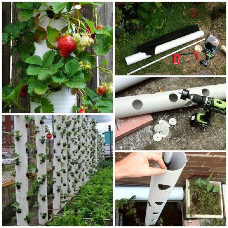 4-PVC-pipe-vertical-garden-ideas