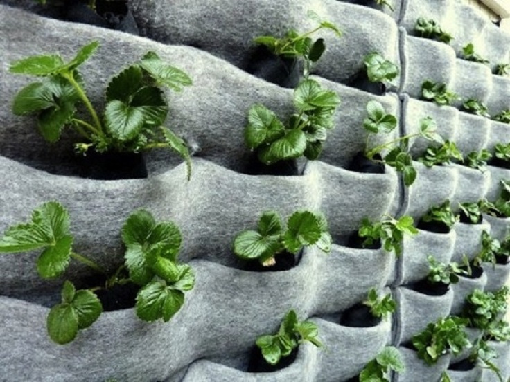 8-Florafelt-Pocket-vertical-Garden