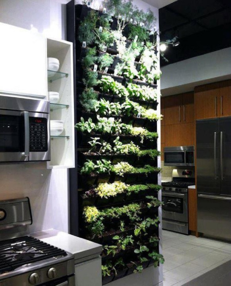 9-vertical-indoor-herb-garden-idea