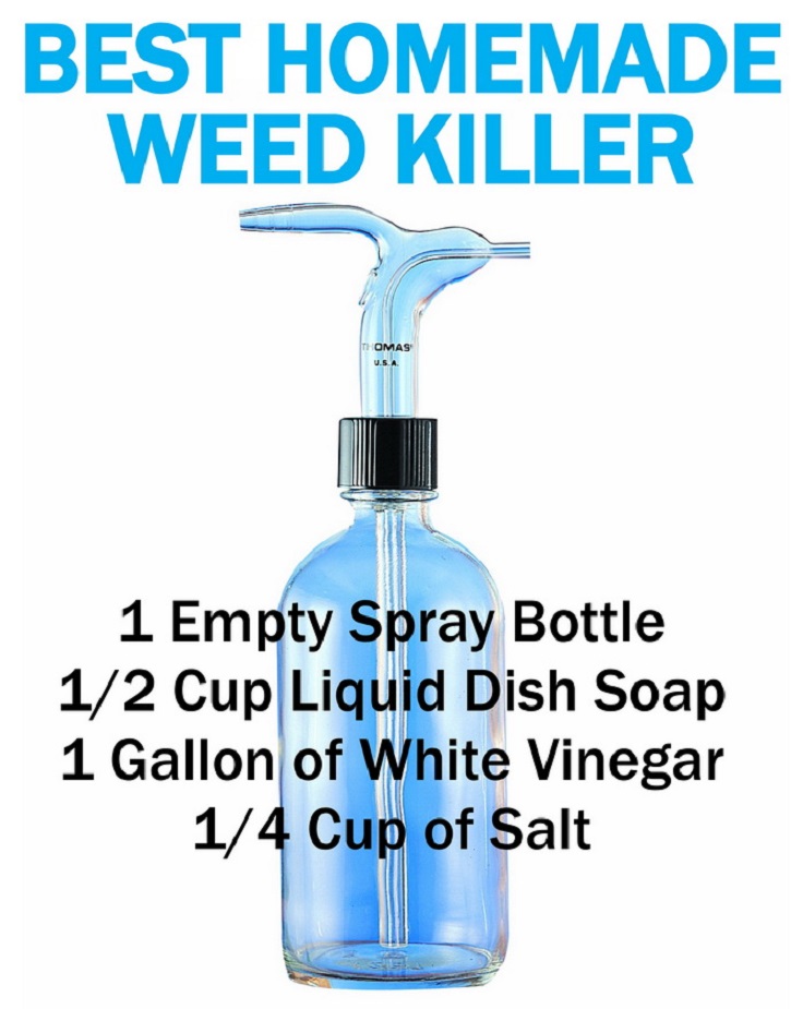 Best-Homemade-Weed-Killer-Using-Household-Ingredients