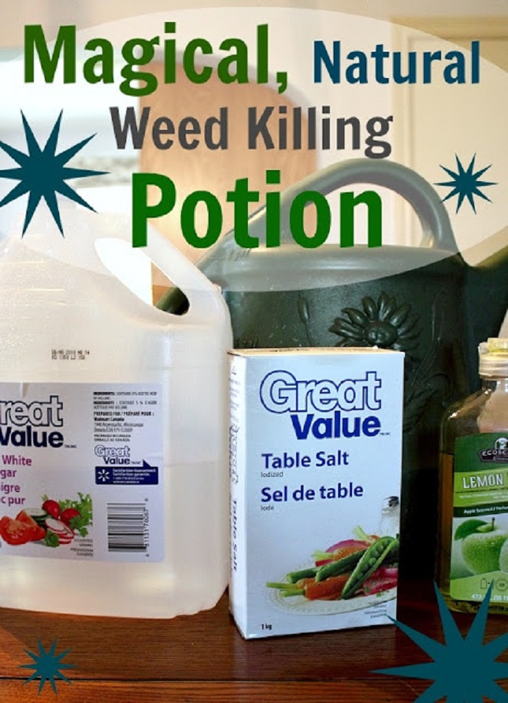 Homemade-All-Natural-Weed-Killer