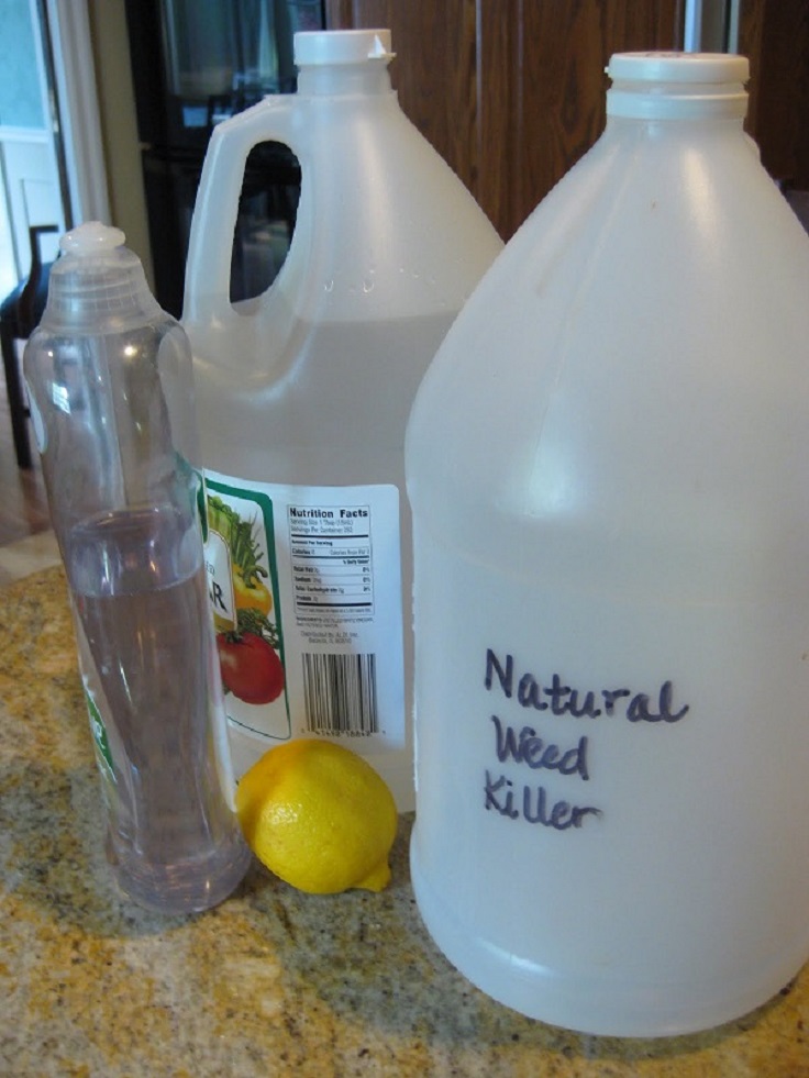 Homemade-Earth-Friendly-Weed-Preventer