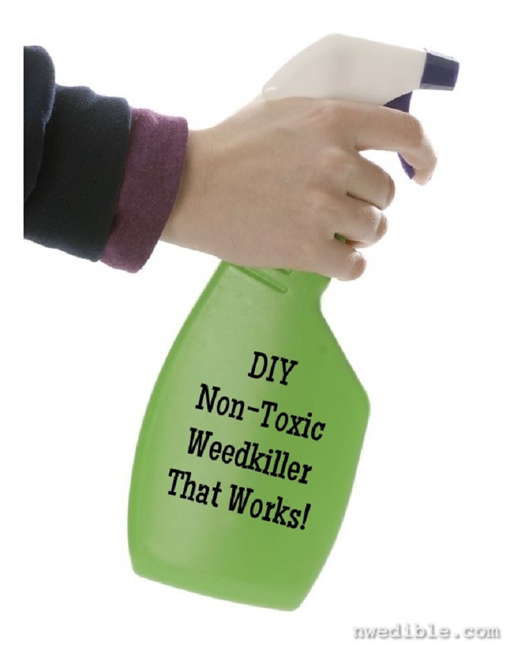 Non-Toxic-Weedkiller-That-Works