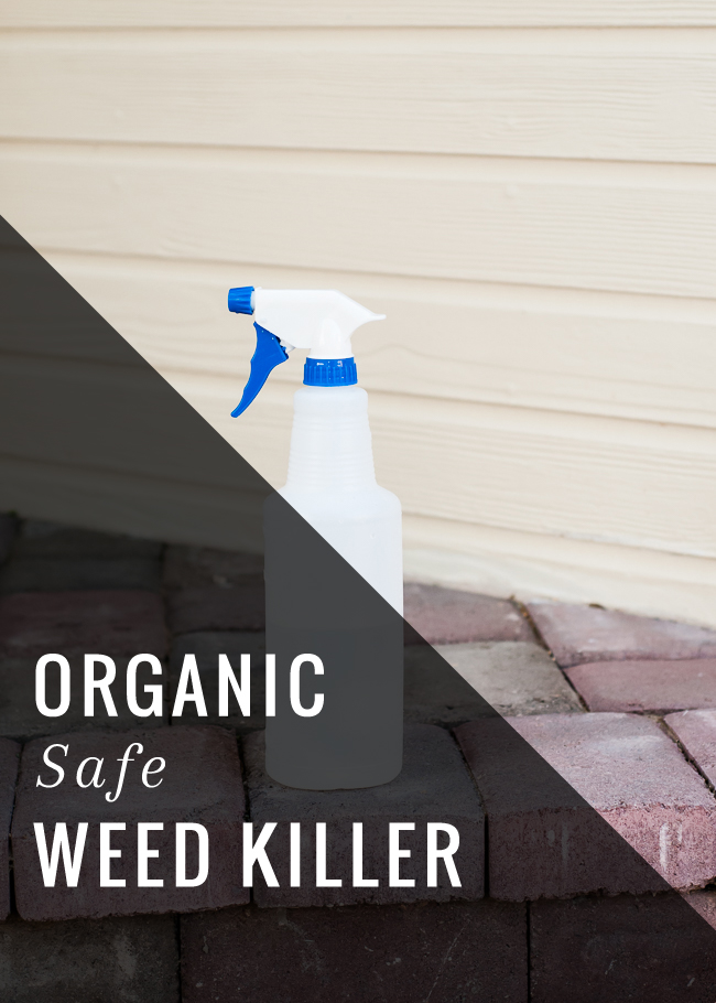 Organic-Safe-Weed-Killer