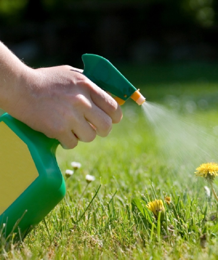 TOP 10 Homemade Weedkillers That Will Kill The Weed Without Killing The Plant | Top Inspired