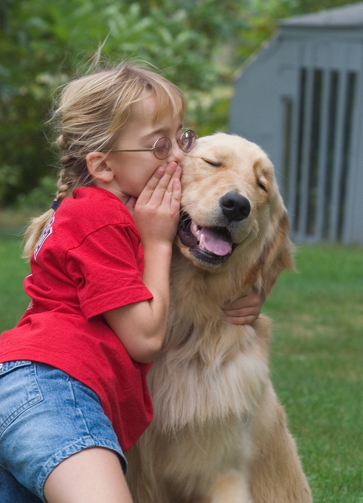 Your-child-will-get-comfort-from-his-hers-dog