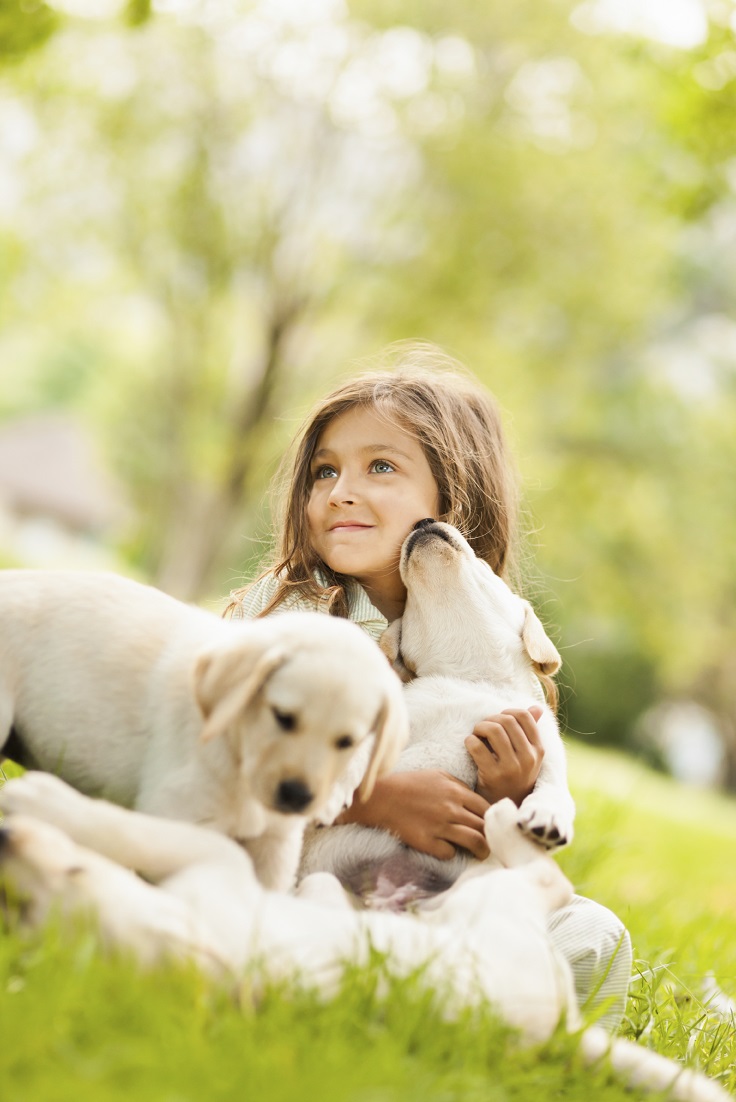 TOP 10 Reasons Why You Should Get Your Child a Dog | Top Inspired