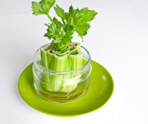 Top 10 Foods You Can Regrow From Kitchen Scraps