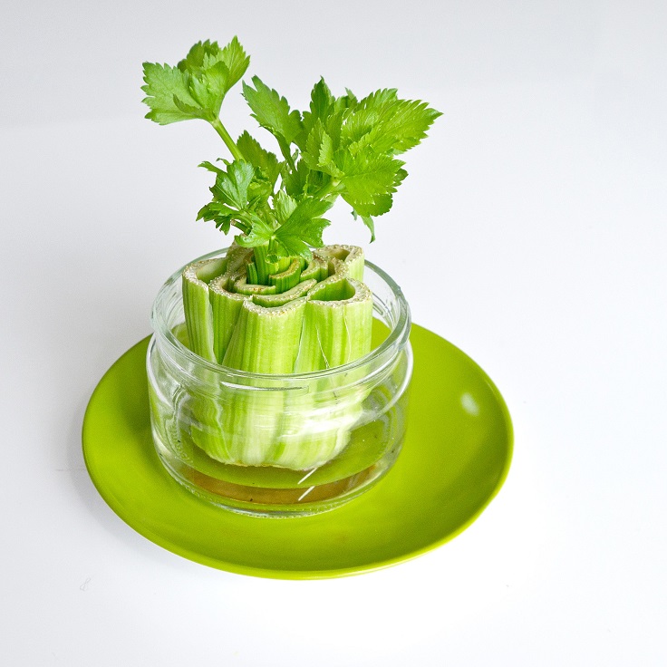 TOP 10 Foods You Can Regrow From Kitchen Scraps | Top Inspired