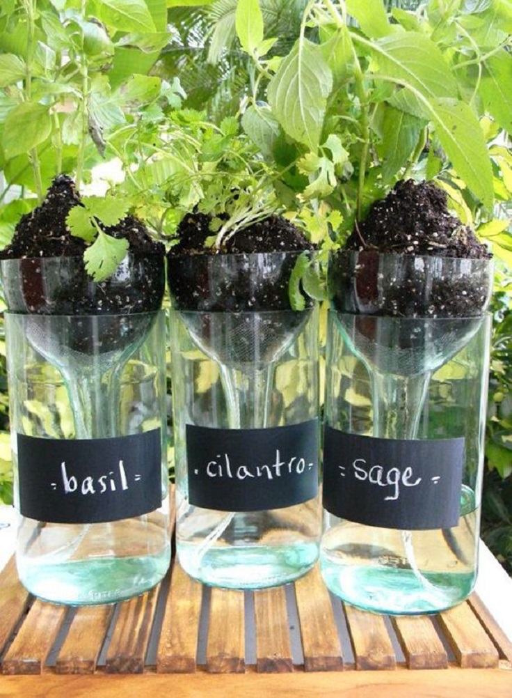 diy-bottle-planter