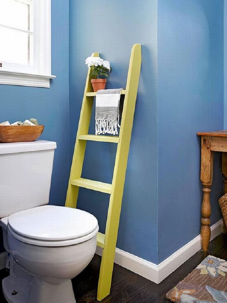 ladder-in-the-toilet