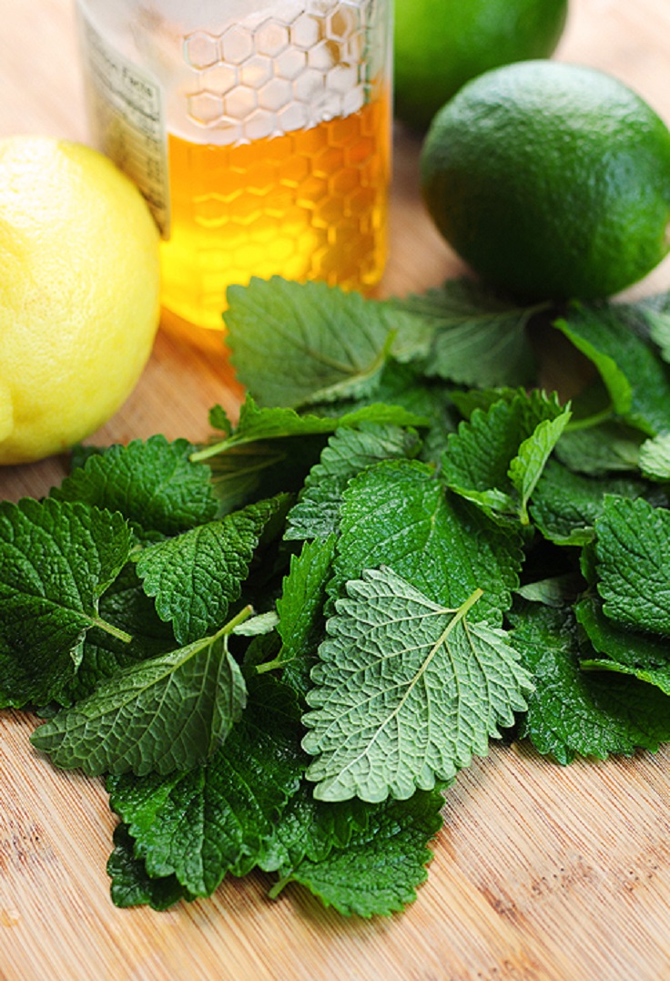 lemon-balm