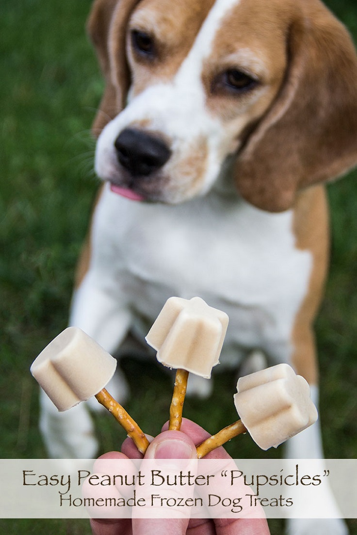 peanut-butter-frozen-pupsicles