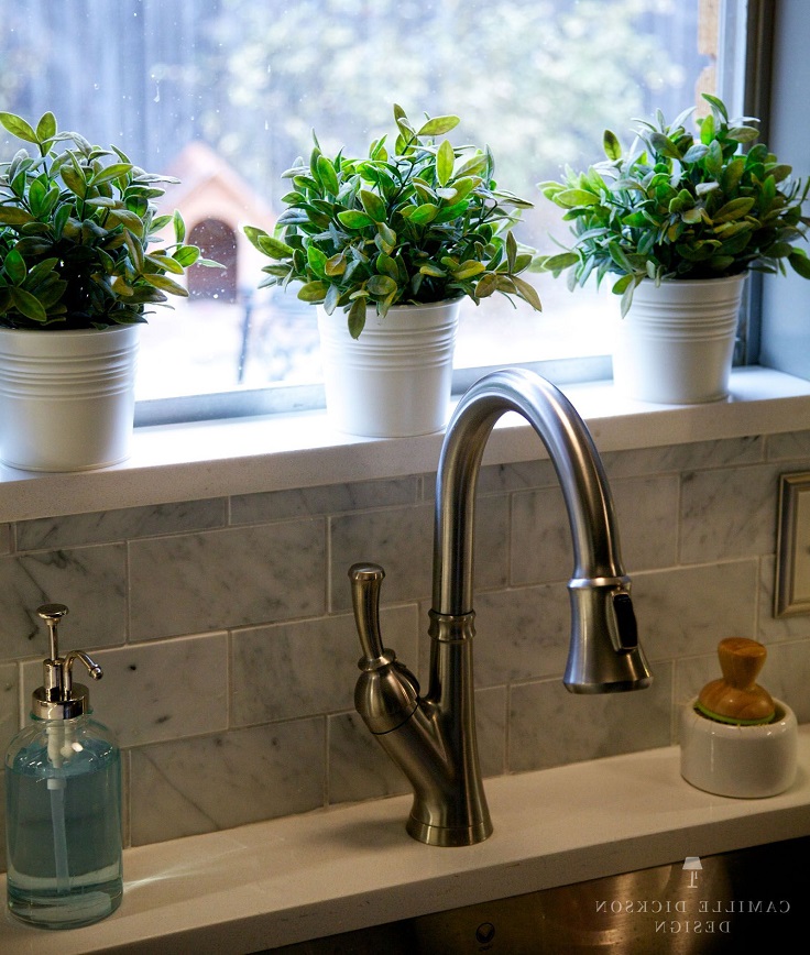 plants-in-kitchen